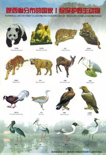 3月1日至10月31日 这些地方禁猎陆生野生动物